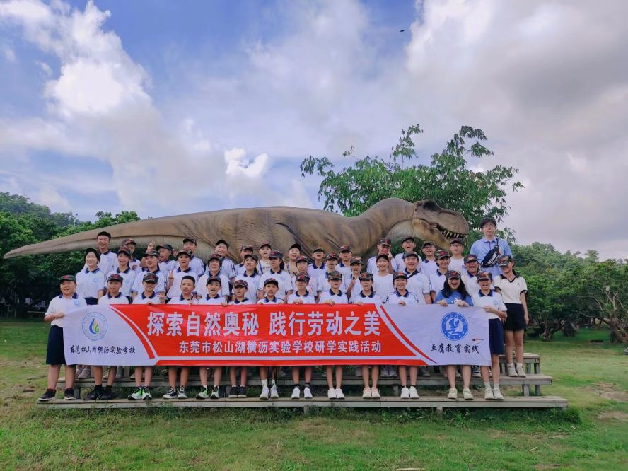 【训练活动回顾】松山湖横沥实验学校综合素质教育训练活动