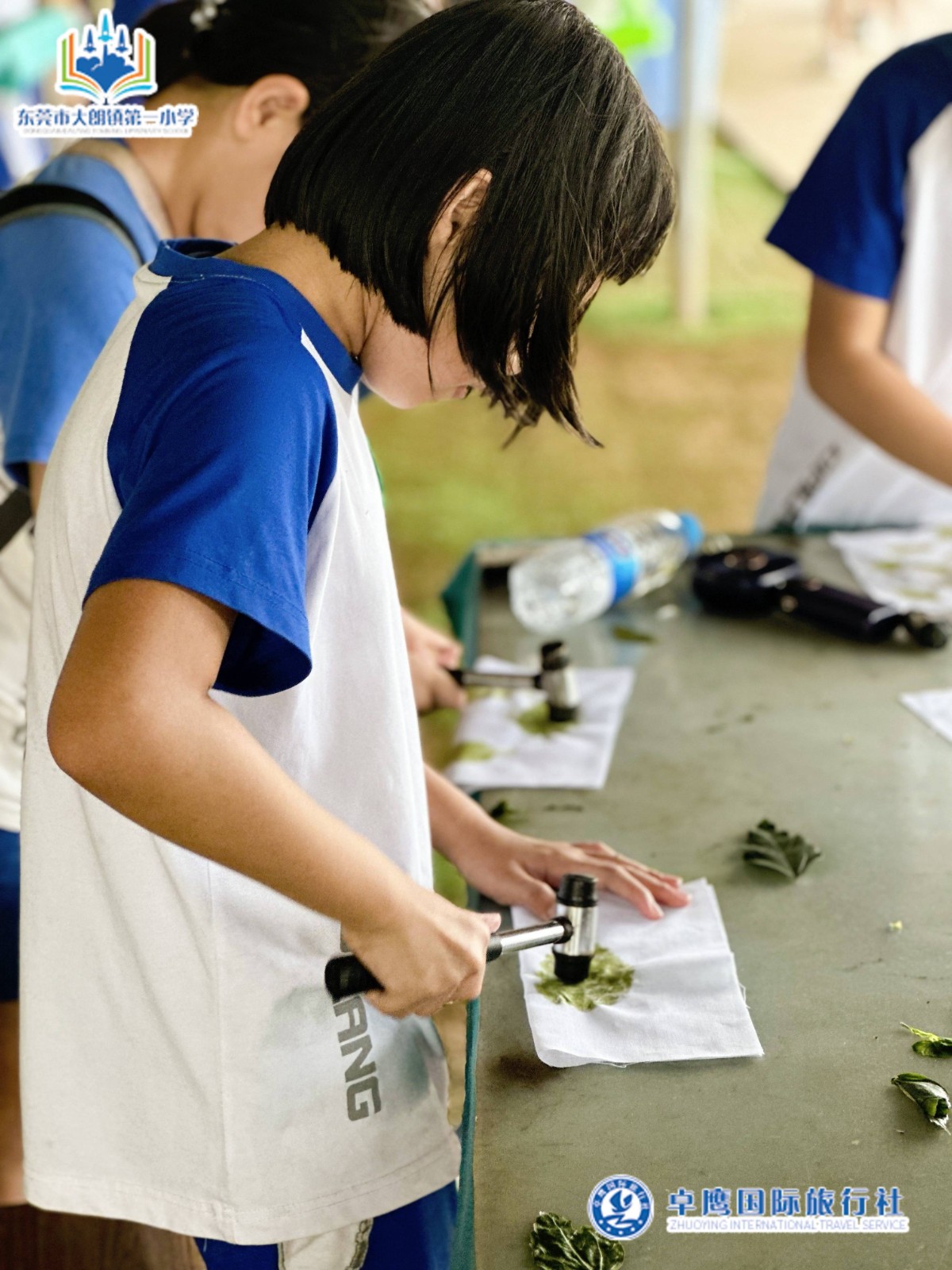 植物拓印4.jpg